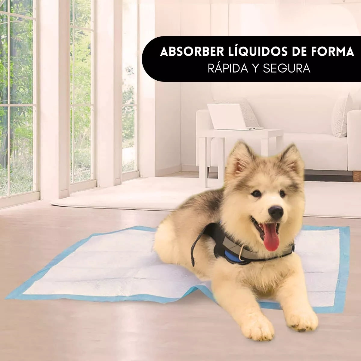 Sabanillas de entrenamiento mascotas